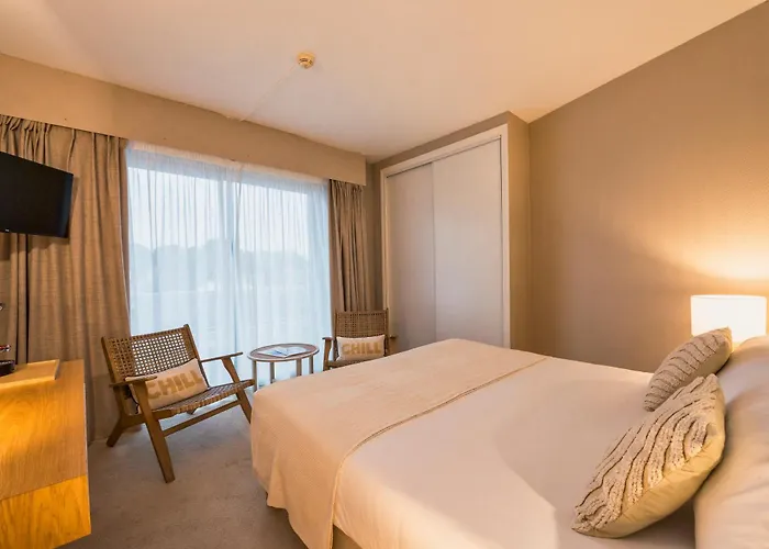 Hôtel accueillant les animaux: Hotel Alcyon La Baule